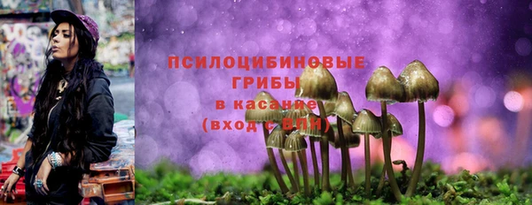 стаф Сафоново