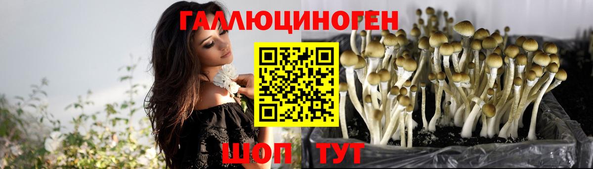 Галлюциногенные грибы ЛСД Кингисепп